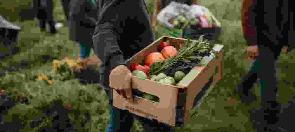 Geo Agri - Macchine Agricole