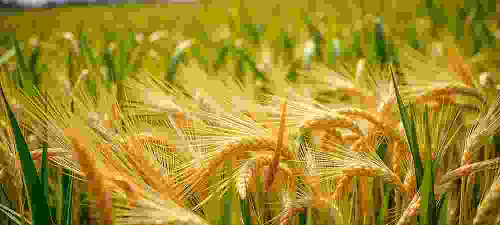 Geo Agri - Macchine Agricole